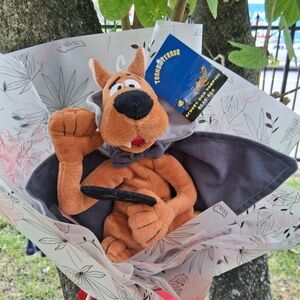 🔥BOUQUET Warner Bros. Scooby-Doo Plush Toy & FREE GIFT NWT